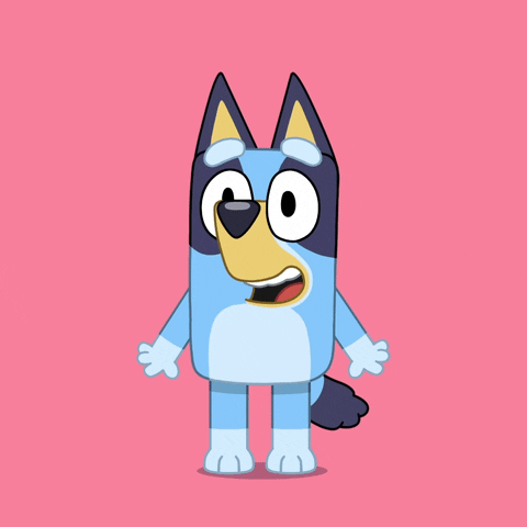 Bluey Looking Straight